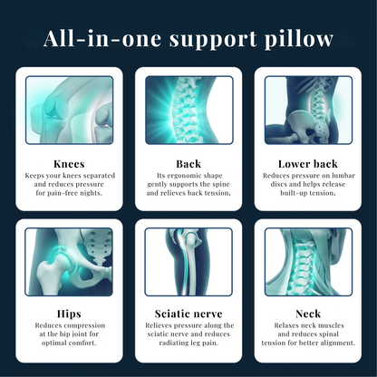 Verta™ — Support Cushion